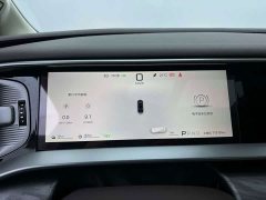 Denza D9 DM-i Smart Drive Edition 1020 AWD Version - фото 6
