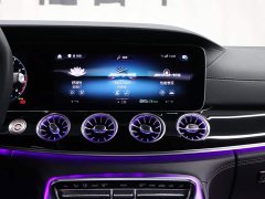 Mercedes-Benz AMG GT AMG GT 50 - фото 18