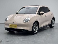 Ora 400kmStandard Range Premium Version - фото 1