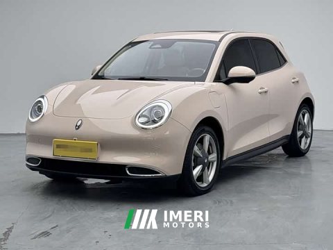 2023 Ora 400kmStandard Range Premium Version - автомобиль из Китая
