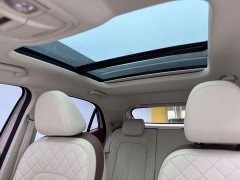 Ora 400kmStandard Range Premium Version - фото 12