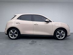 Ora 400kmStandard Range Premium Version - фото 15