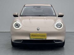 Ora 400kmStandard Range Premium Version - фото 2