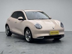 Ora 400kmStandard Range Premium Version - фото 3