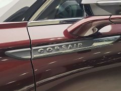 Changan 2.0T 2WDDeluxe Edition - фото 7