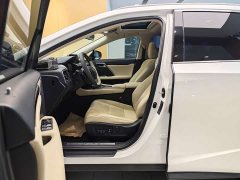 Lexus RX 300 2WD Edition VI - фото 13
