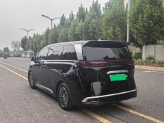 Denza D9 DM-i Smart Drive Edition 1020 AWDPremium Version - фото 7