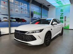 BYD L DM-i Smart Drive Edition 120KM Version - фото 1