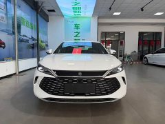 BYD L DM-i Smart Drive Edition 120KM Version - фото 2