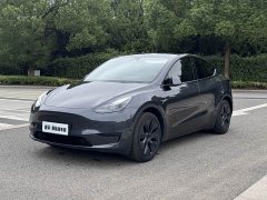 Tesla Model Y Edition - фото 1