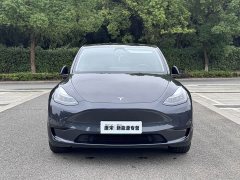 Tesla Model Y Edition - фото 2