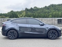 Tesla Model Y Edition - фото 4