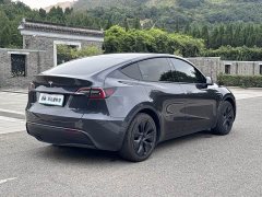 Tesla Model Y Edition - фото 5