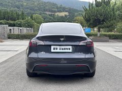 Tesla Model Y Edition - фото 6