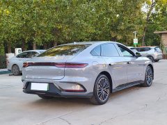 BYD DM-i Smart Drive Edition 125KMFlagship Version - фото 14