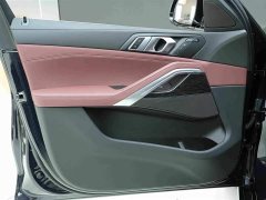 BMW X6 xDrive30i M - фото 14