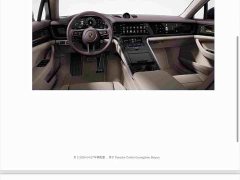 Porsche Panamera 2.9T - фото 12