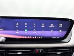 Zeekr 2.0T Edition - фото 18