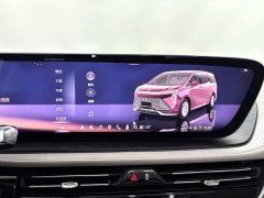 Zeekr 2.0T Edition - фото 19