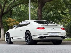 4.0T GT V8 - фото 6