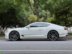 4.0T GT V8 - фото 7