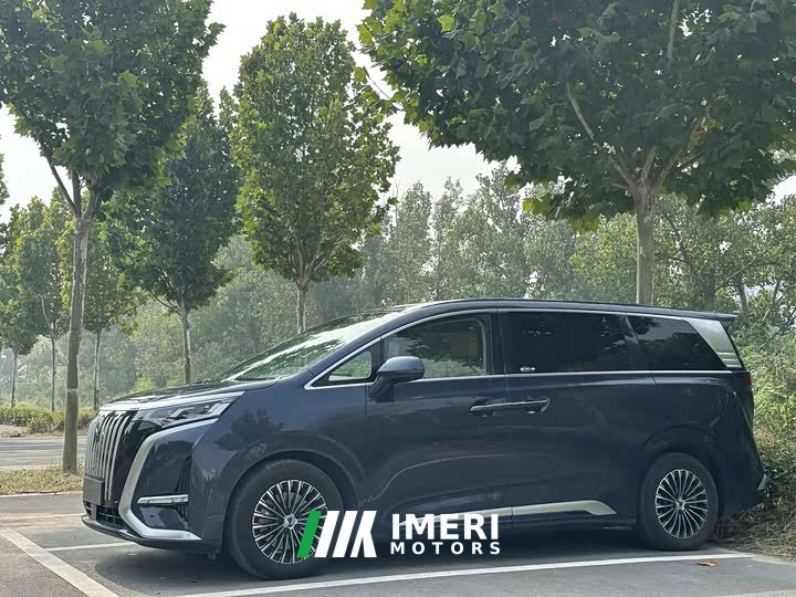 Denza D9 EV 600 AWD Version