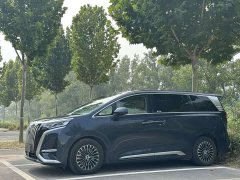 Denza D9 EV 600 AWD Version - фото 1
