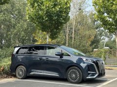 Denza D9 EV 600 AWD Version - фото 3