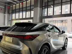 Lexus RX 300 AWD Edition - фото 19