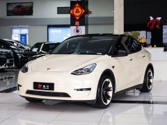 Tesla Model Y Edition - фото 1