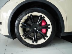 Tesla Model Y Edition - фото 12