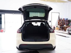 Tesla Model Y Edition - фото 13