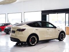 Tesla Model Y Edition - фото 14