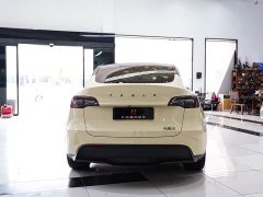 Tesla Model Y Edition - фото 15