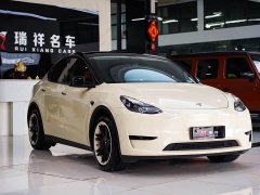 Tesla Model Y Edition - фото 16