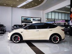 Tesla Model Y Edition - фото 3