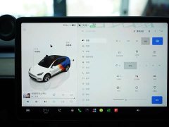 Tesla Model Y Edition - фото 7