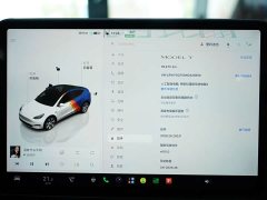Tesla Model Y Edition - фото 8