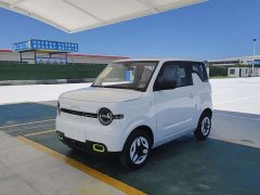 BYD mini 210km - фото 1