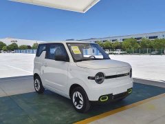BYD mini 210km - фото 3