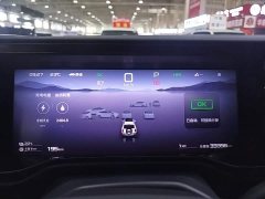 Li Auto 5 Edition - фото 12