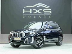 BMW X5 xDrive 30Li Deluxe VersionM - фото 1