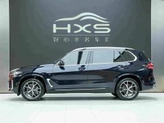 BMW X5 xDrive 30Li Deluxe VersionM - фото 3