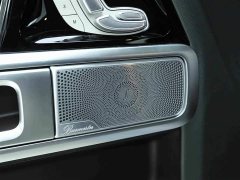 Mercedes-Benz GAMG AMG G 63 - фото 15
