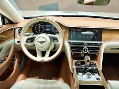 Mercedes-Benz PHEV 2.9T V6 Hybrid - фото 15
