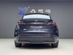 Tesla Model Y Edition - фото 10