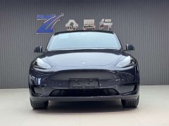 Tesla Model Y Edition - фото 2