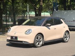 Ora 400kmStandard Range Edition - фото 1