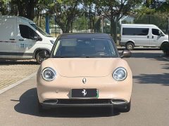 Ora 400kmStandard Range Edition - фото 2