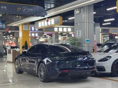 Porsche Panamera 2.9T Edition - фото 18